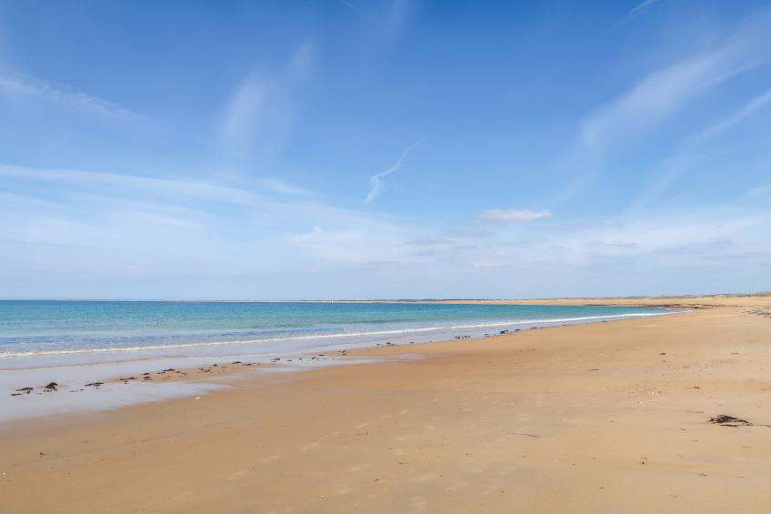 Maison Park Bihan - foto 38