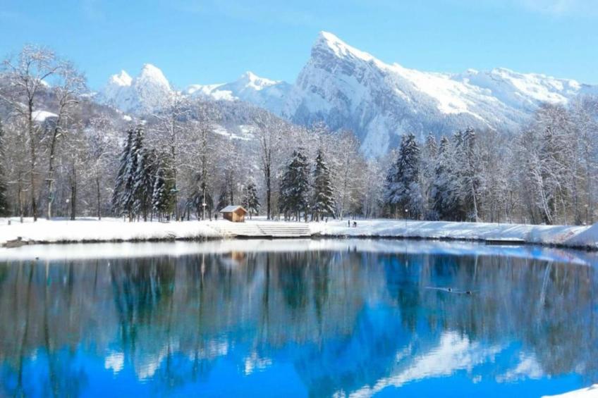 Grande Neige N°44 - 2P4 - foto 20