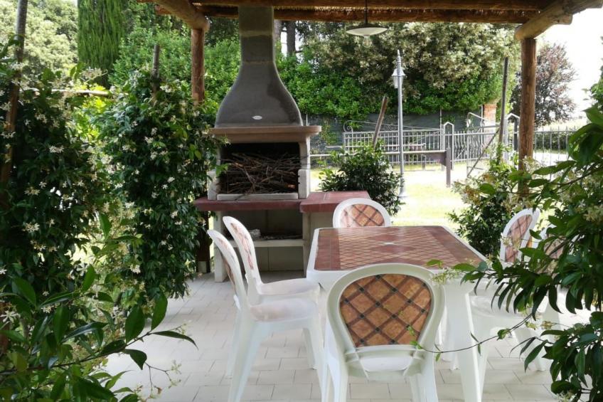 Flache Kornblume - foto 28