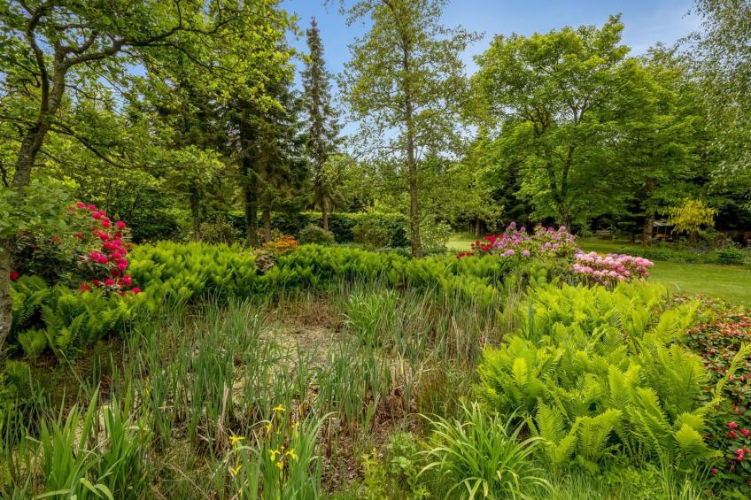 "Tatiane" - 10km from the sea in Western Jutland - foto 29