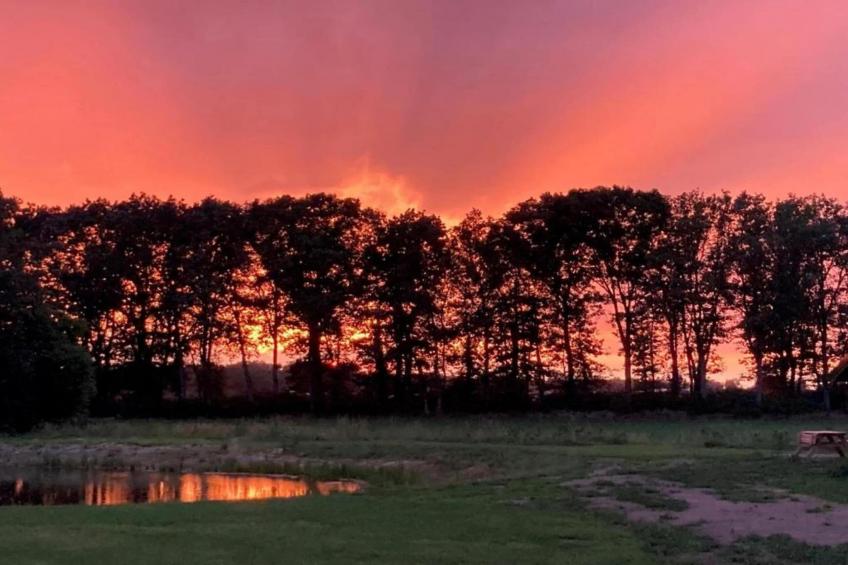 Vakantiecentrum 't Schuttenbelt 3 - foto 22