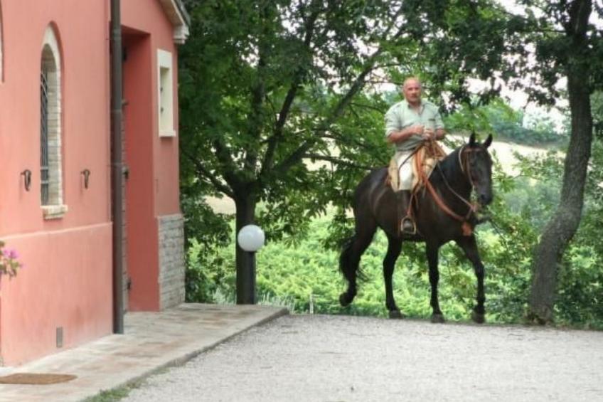 in der Gegend zwischen Meer und Berghang - foto 3