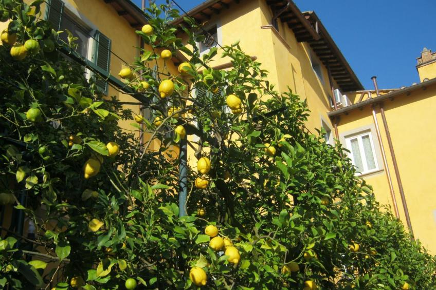 Wohnung 'The Lemon' mit Privatparkplatz - foto 17