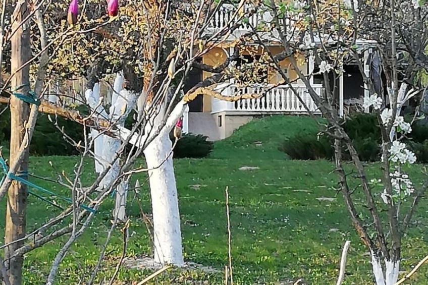 Hütte mit Garten, Grill und Terrasse - foto 53