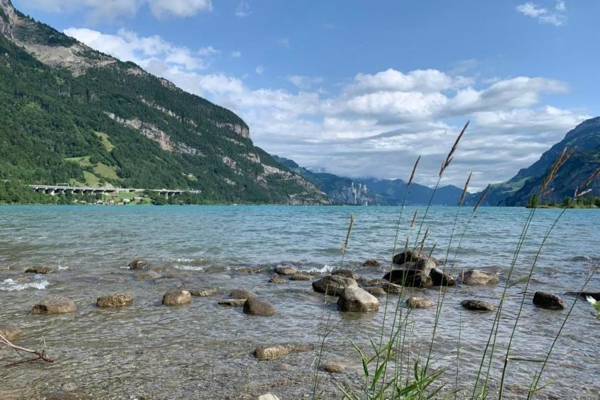 Casa Restelli 2. OG - foto 27