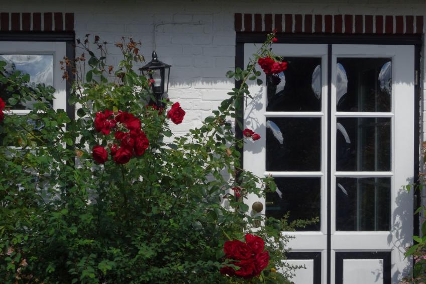 Zum Leuchtturm - foto 6