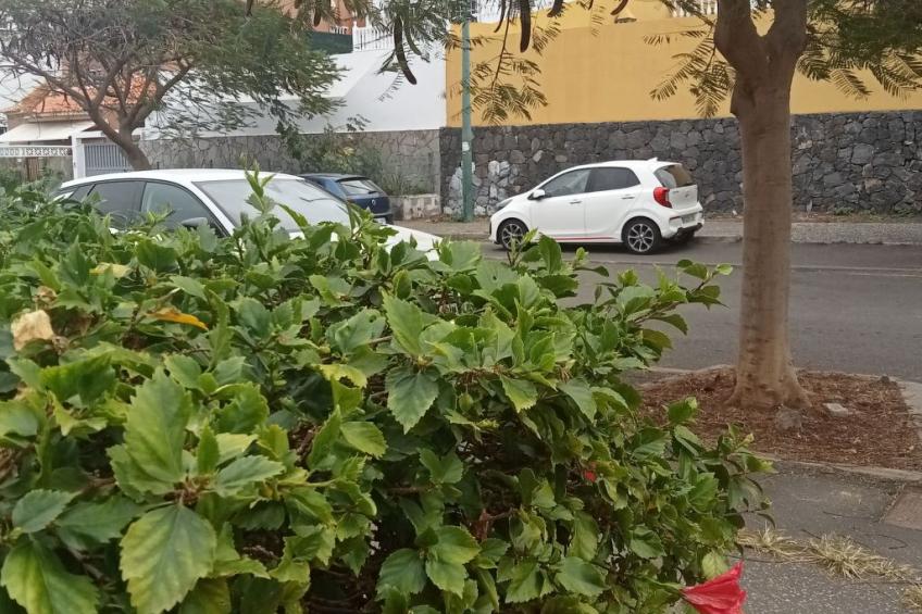 Beatifull apto Meerblick Playa Jardin wiffi - foto 29