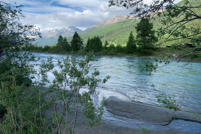 Chesa Genziana - foto 14