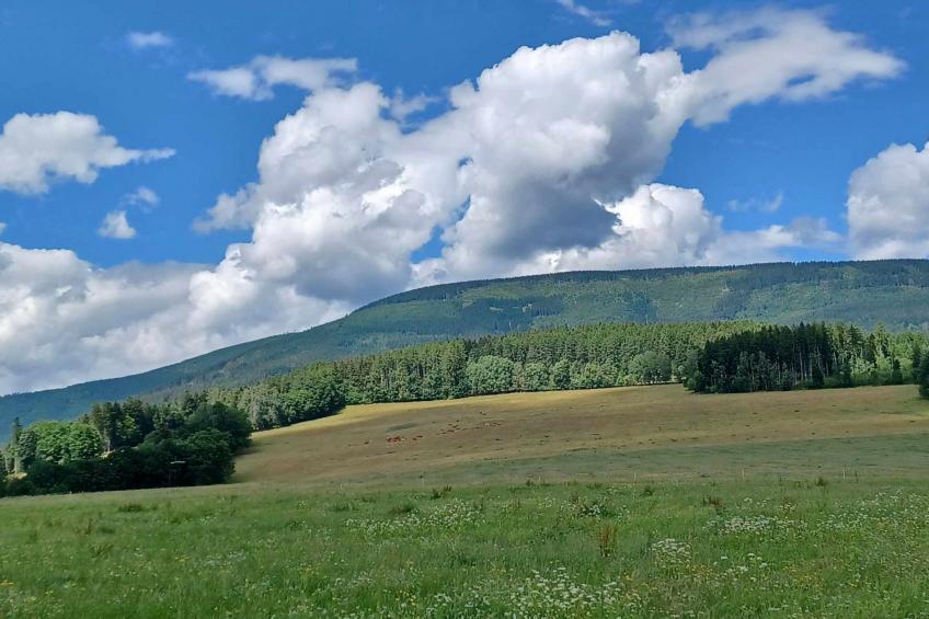 Černý Důl - foto 40