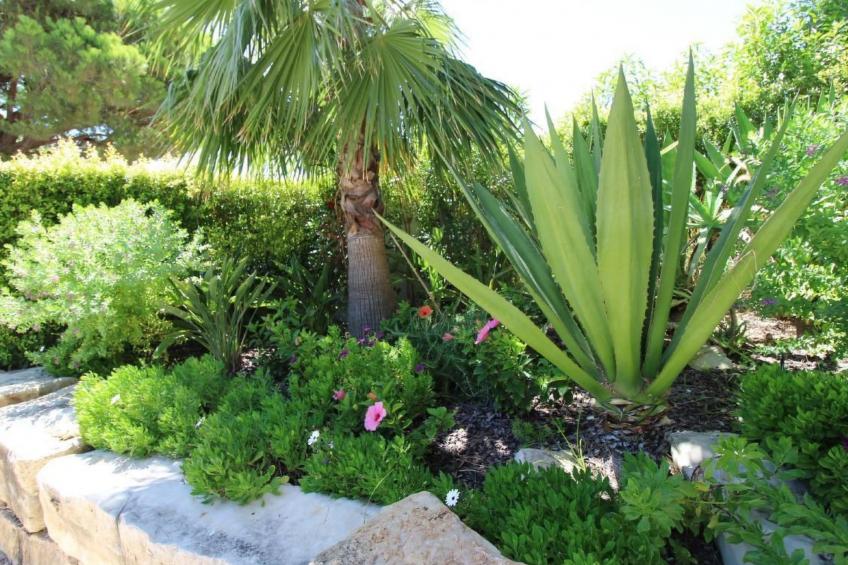 in Almancil mit Garten, Grill und Terrasse - foto 79