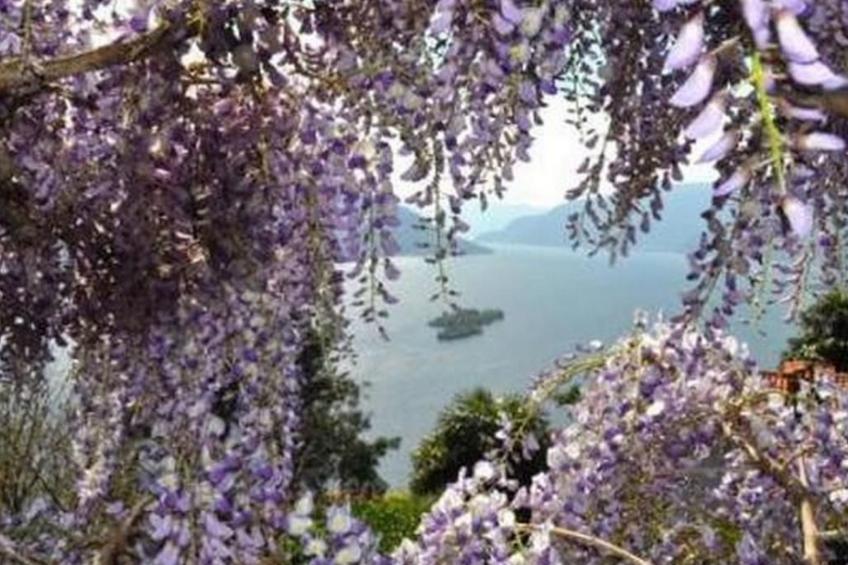 Villa Cresta Bianca - foto 11