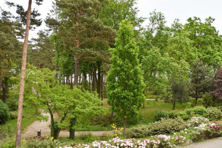 in Ostseebad Baabe - foto 10