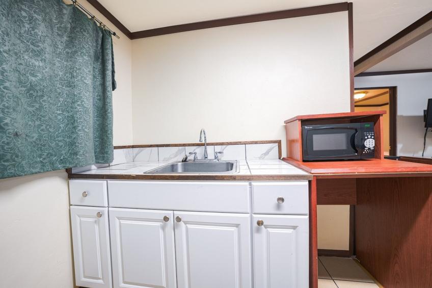 1 Bedroom Suite - foto 12