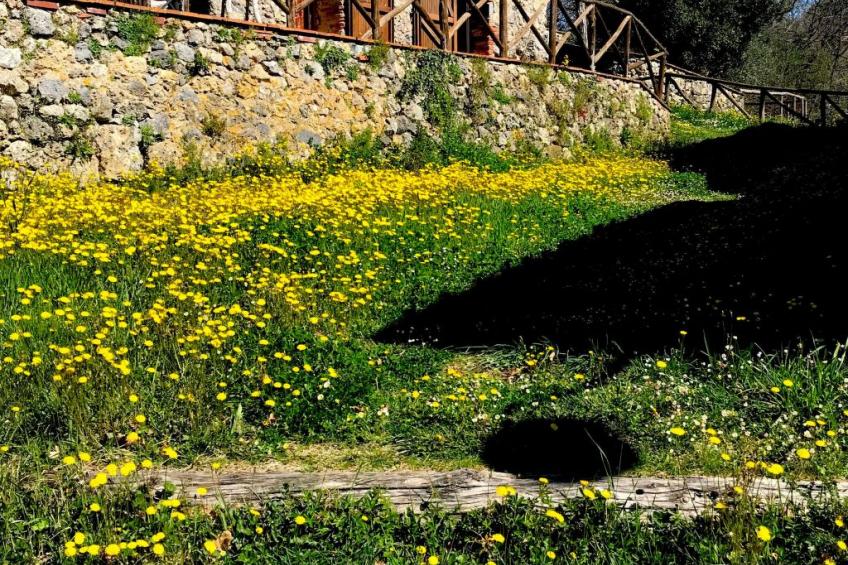 Ruhiges Ferienhaus mit Garten und Panoramablick - foto 14