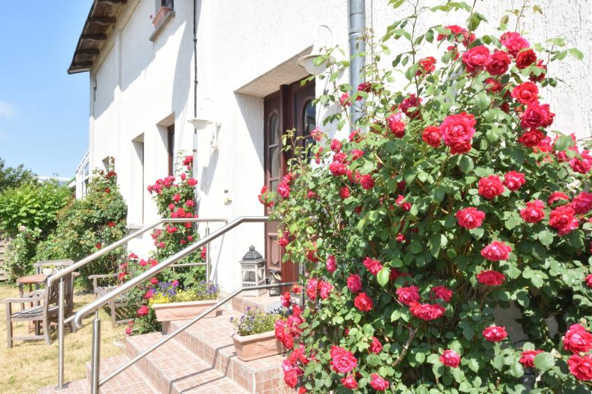 Altes Bauernhaus / Gartenblick - foto 11