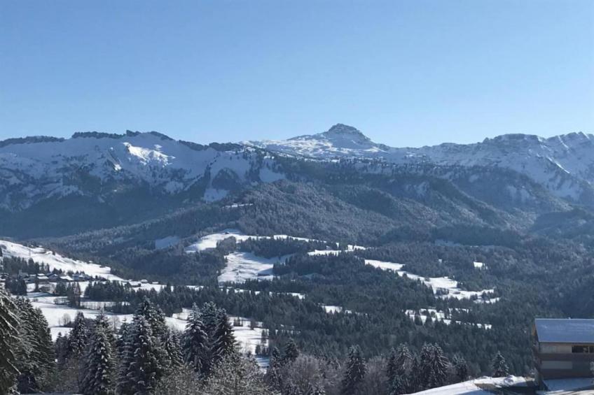 Barbara - foto 40