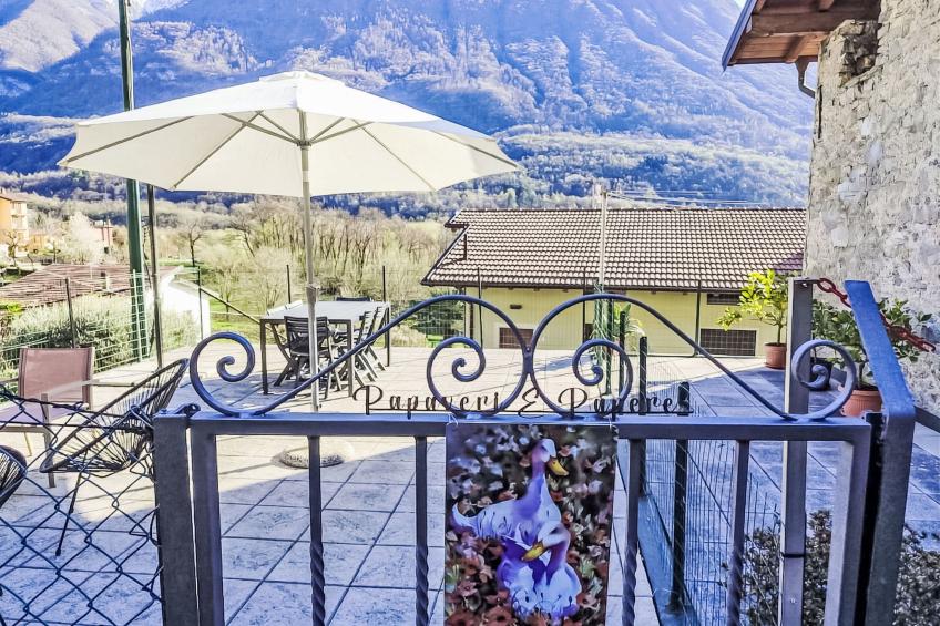 Papaveri e Papere - foto 27