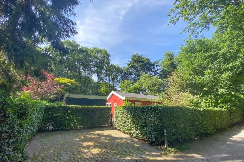 De Paradijsvogel - foto 3