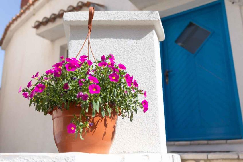 Holiday home in an old town - BF-MXX54 - foto 2