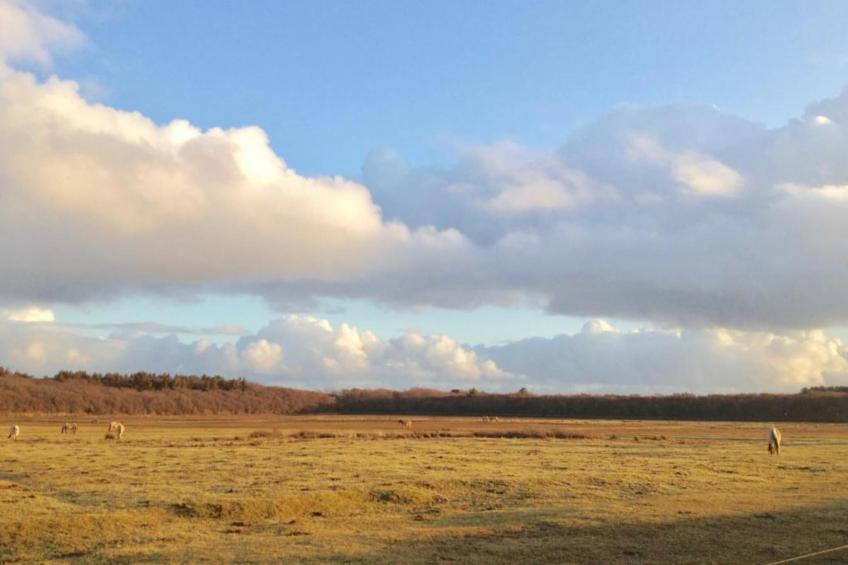 Villapark De Koog 1 - foto 31