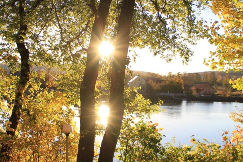 Schwalbennest - foto 13