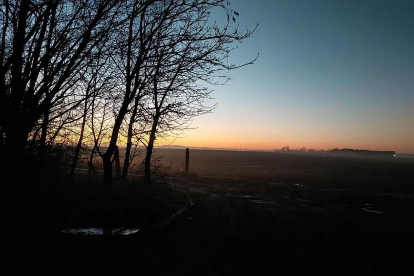 't Bloemenhof - foto 41