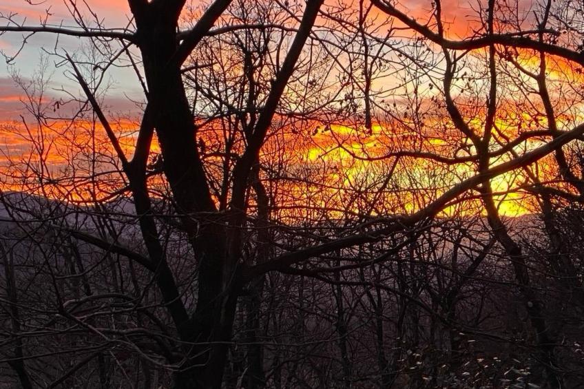 La Romantica - foto 32