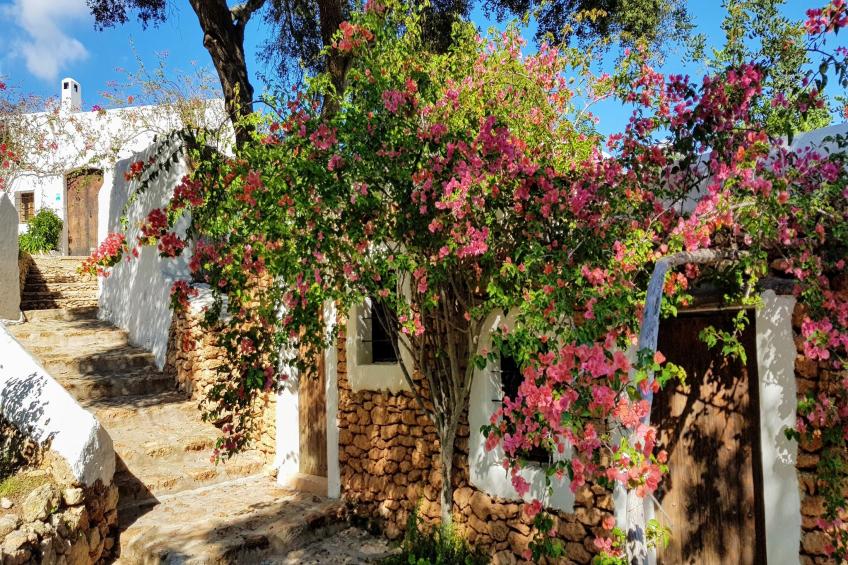 Finca Planetas - foto 40