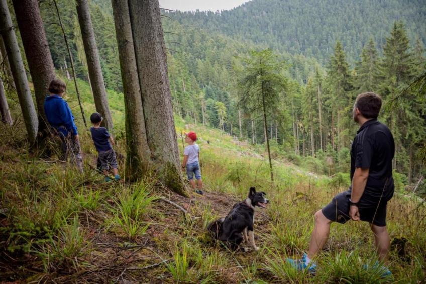 Schwarzwald - foto 41