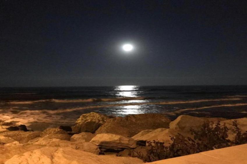 Casa Oliva - foto 25