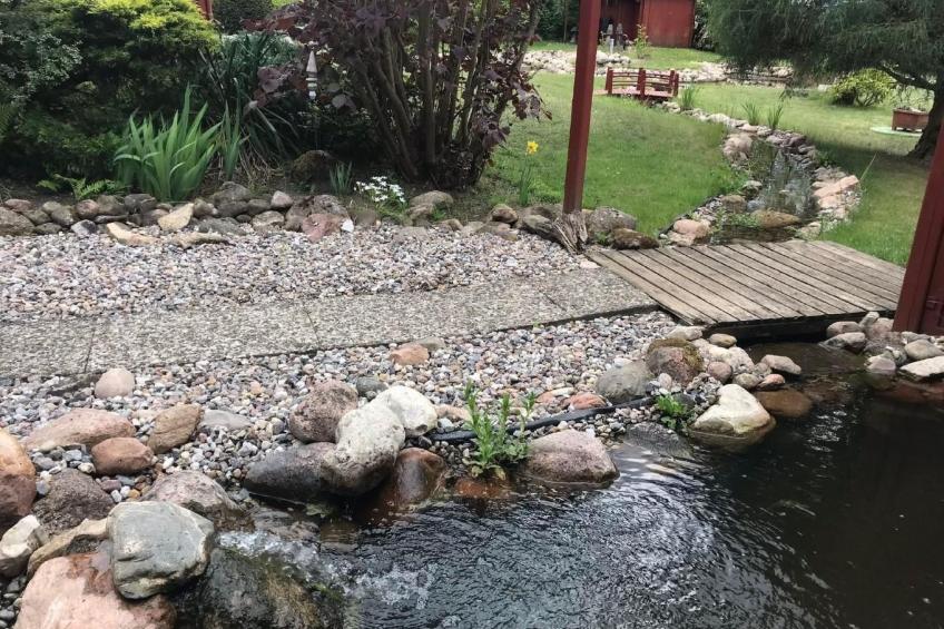 Elbe-Ilenpool -In Ruhe entspannen - foto 49