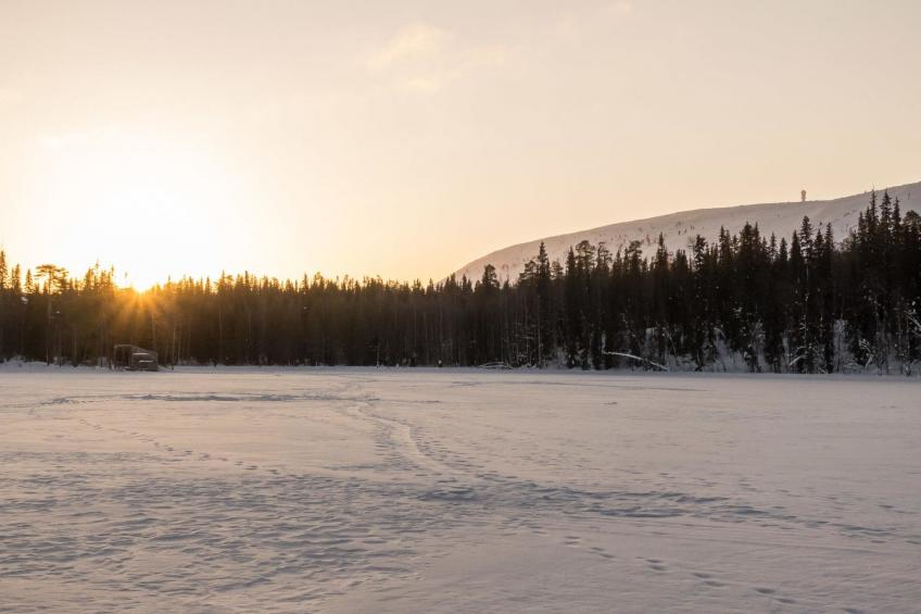 Metsä-luosto - foto 44