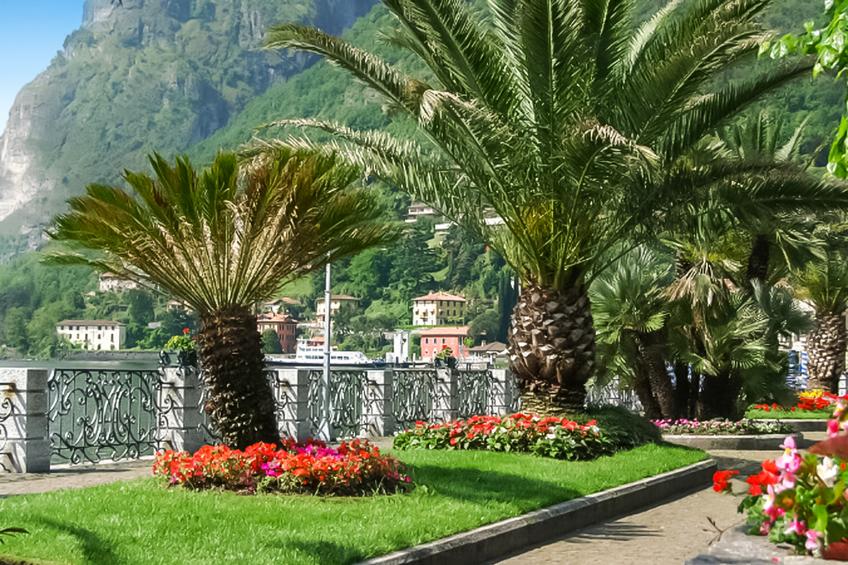 Residence degli Oleandri 2A - foto 32