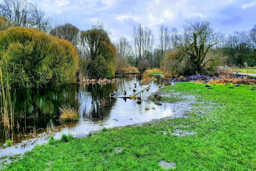 Jomfru Ane Premium Twin - foto 29