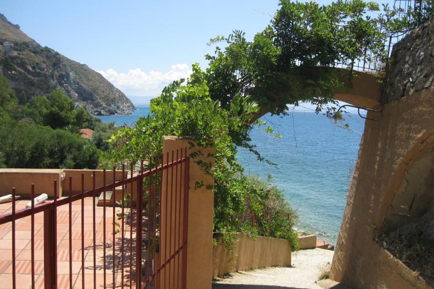 Mandorlo - foto 27