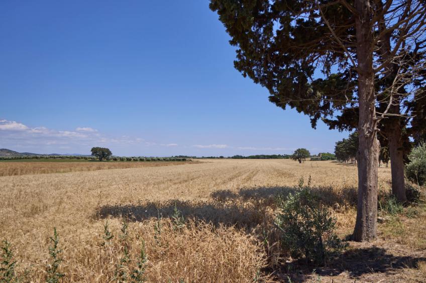 Costa D'Argento - foto 42