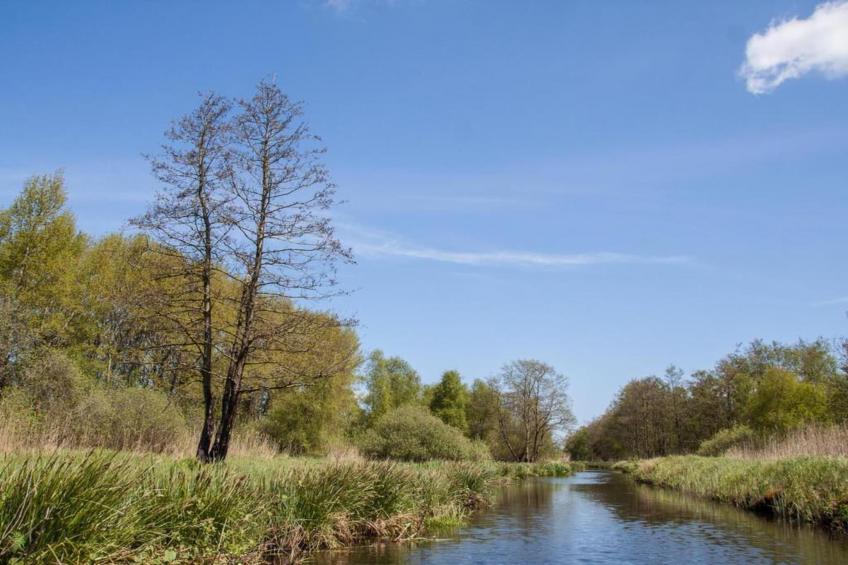 Waterstaete Ossenzijl 2 - foto 38