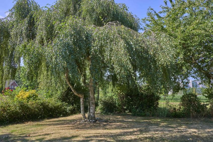 Genderens Buiten - foto 45