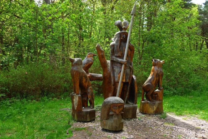 Ferienhaus Küstenwald klein - Strandhotel Fischland - foto 35