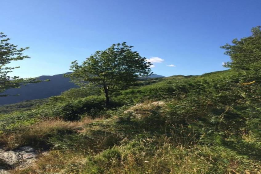 Casa Arena - foto 24