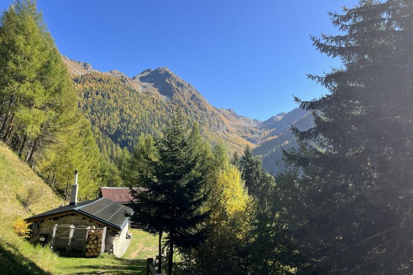 Presa Daint - foto 2