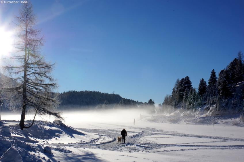 Alpenpark Turracherhöhe - foto 33