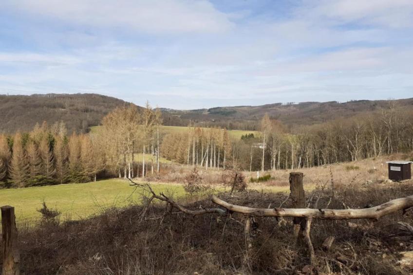 Ferienwohnung im Westerwald - foto 38