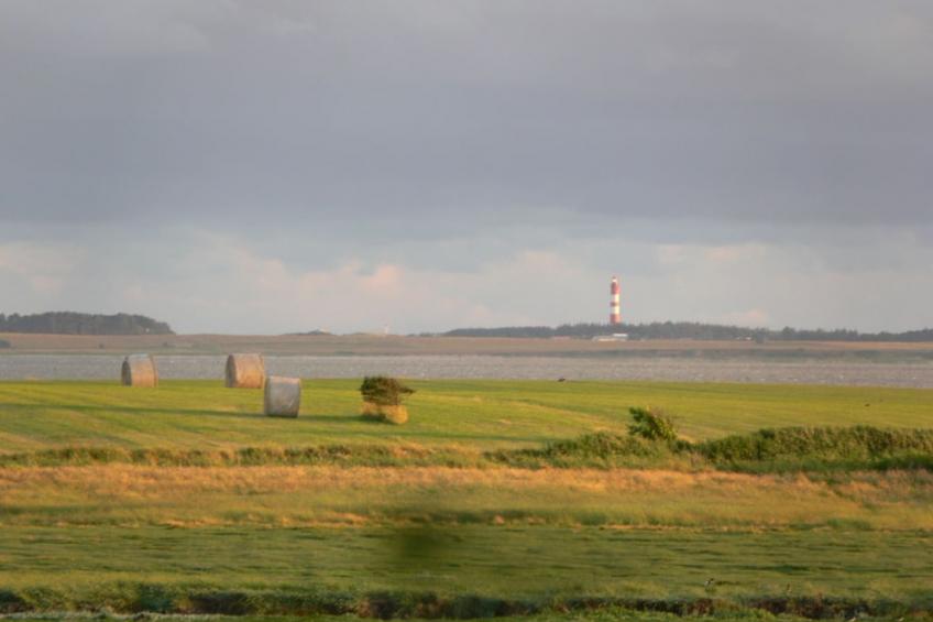 57848 - foto 13