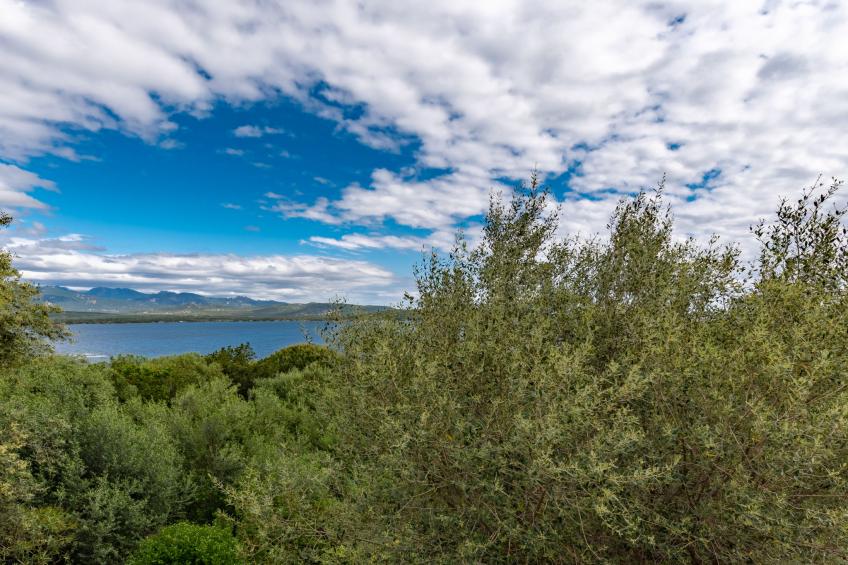Villa Pavellone - foto 40