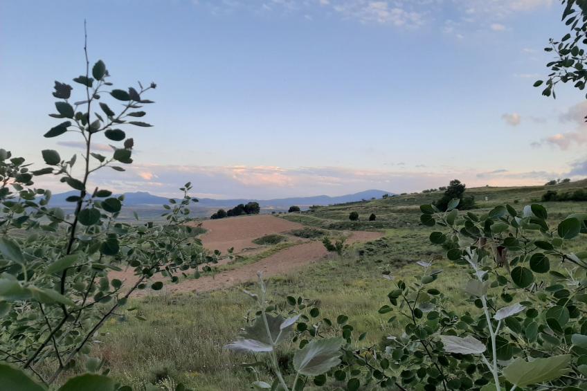 Landwohnung mit Bergblick - foto 28