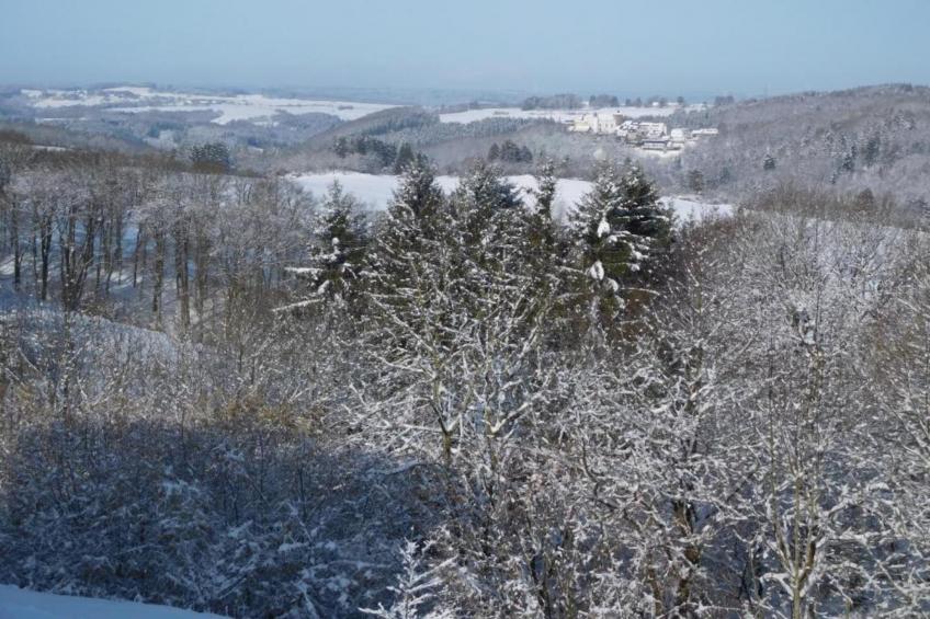 Appartement Eifelsteig - foto 36