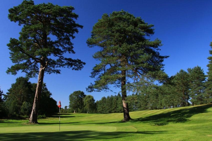 Schönes viktorianische Villa in Blairgowrie - foto 32