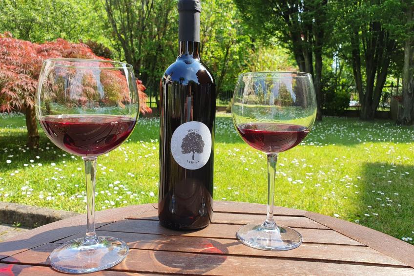 Flache Linde - foto 49