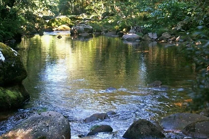 "Großmutters Häuschen" mit überdachter Terrasse - foto 29
